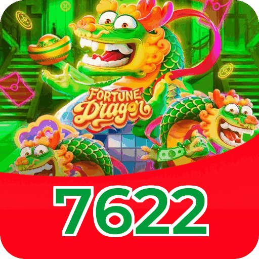 Termos e Condições Transparentes 7622